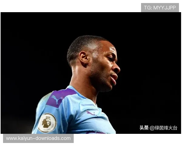 意甲球员数字身份验证，安全登录系统